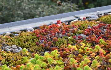 the cost of Forrabury green roof installation