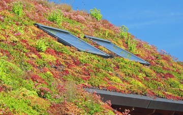 Forrabury living roof systems